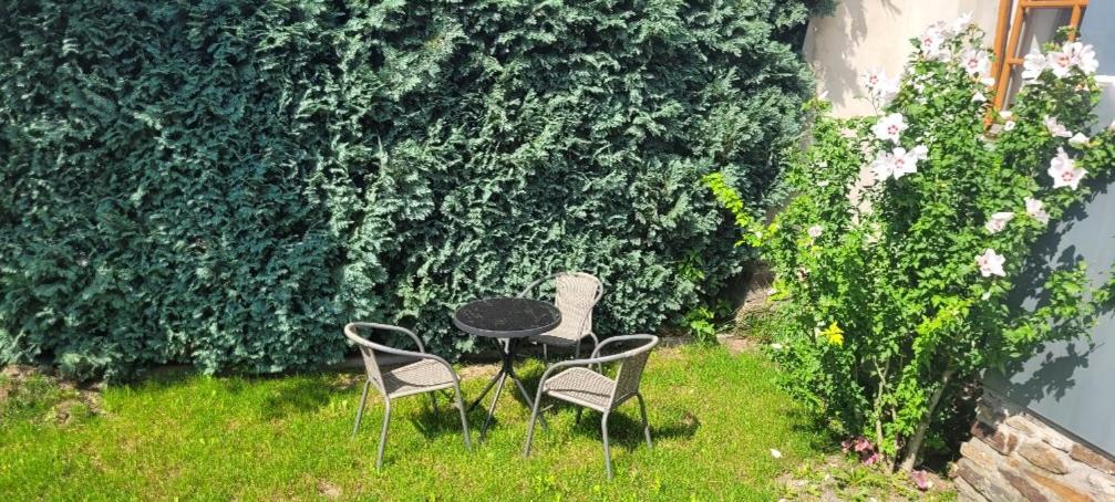 Ferienwohnung Eg Frauenmarkt 1 Шнеберг Экстерьер фото